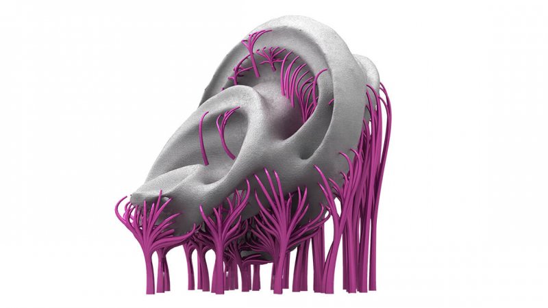 3D打印软件-Autodesk Netfabb 3D打印软件-Autodesk Netfabb